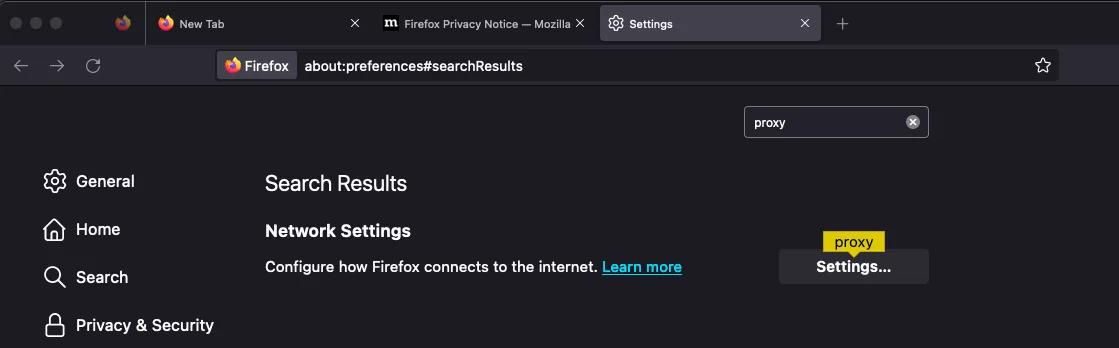 Firefox Proxy Search